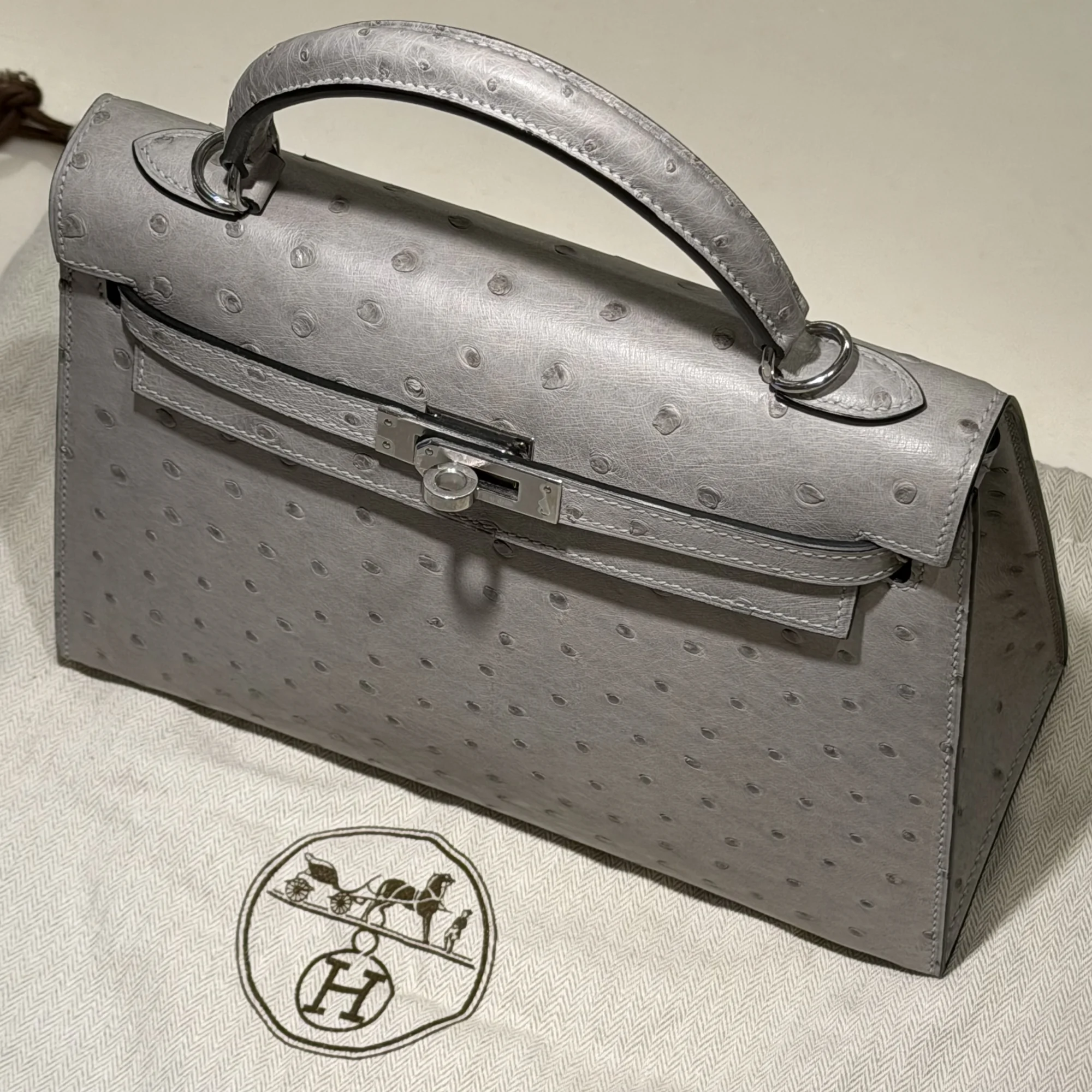 Hermes Kelly 25 Ostrich Leather PHW