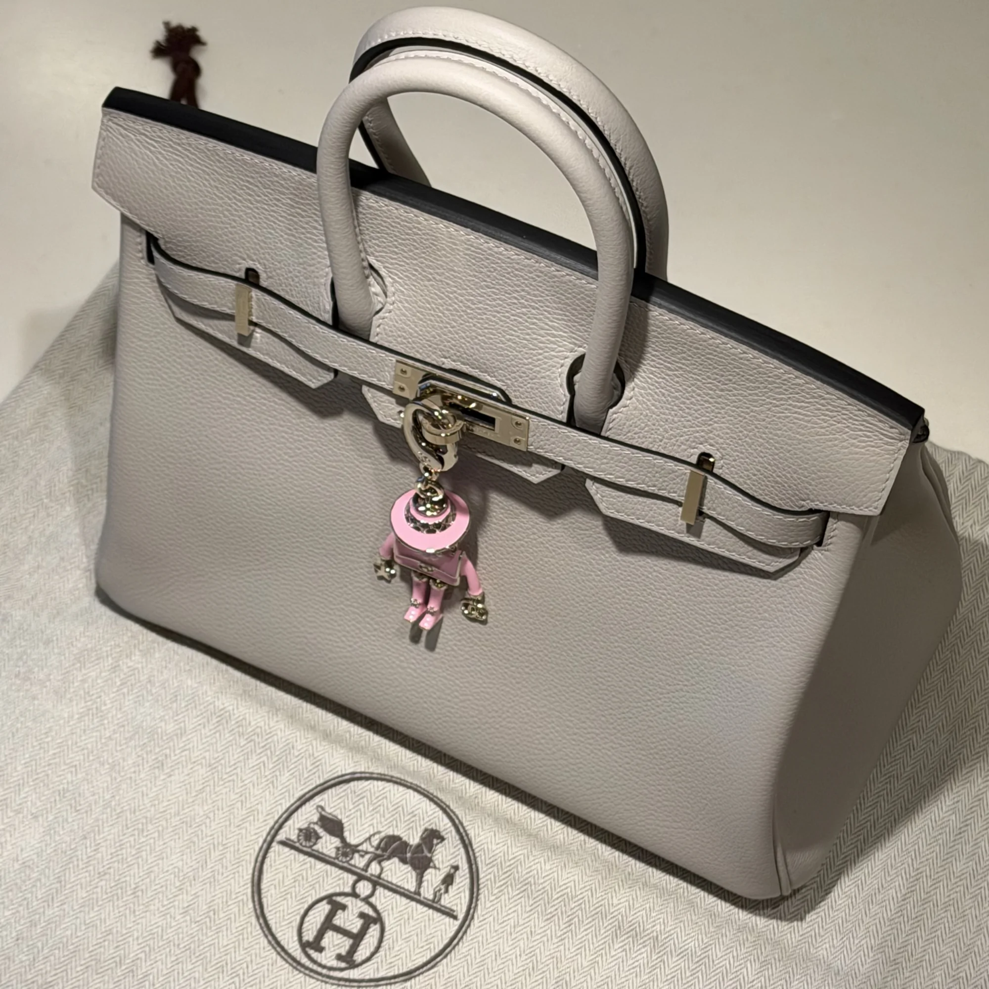 Hermes Birkin 25 Evercolor Leather Permabrass