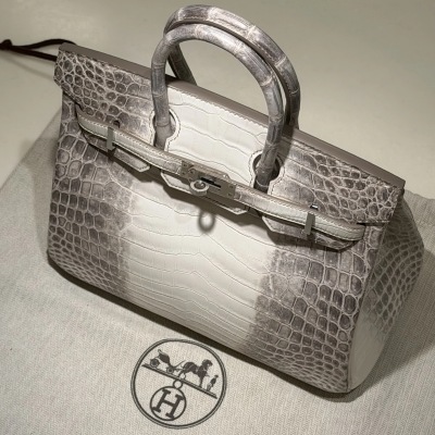Hermes Birkin 25 Himalaya Crocodile Leather PHW