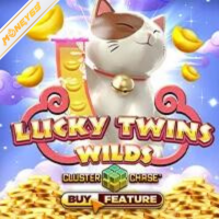 Lucky Twins Wild