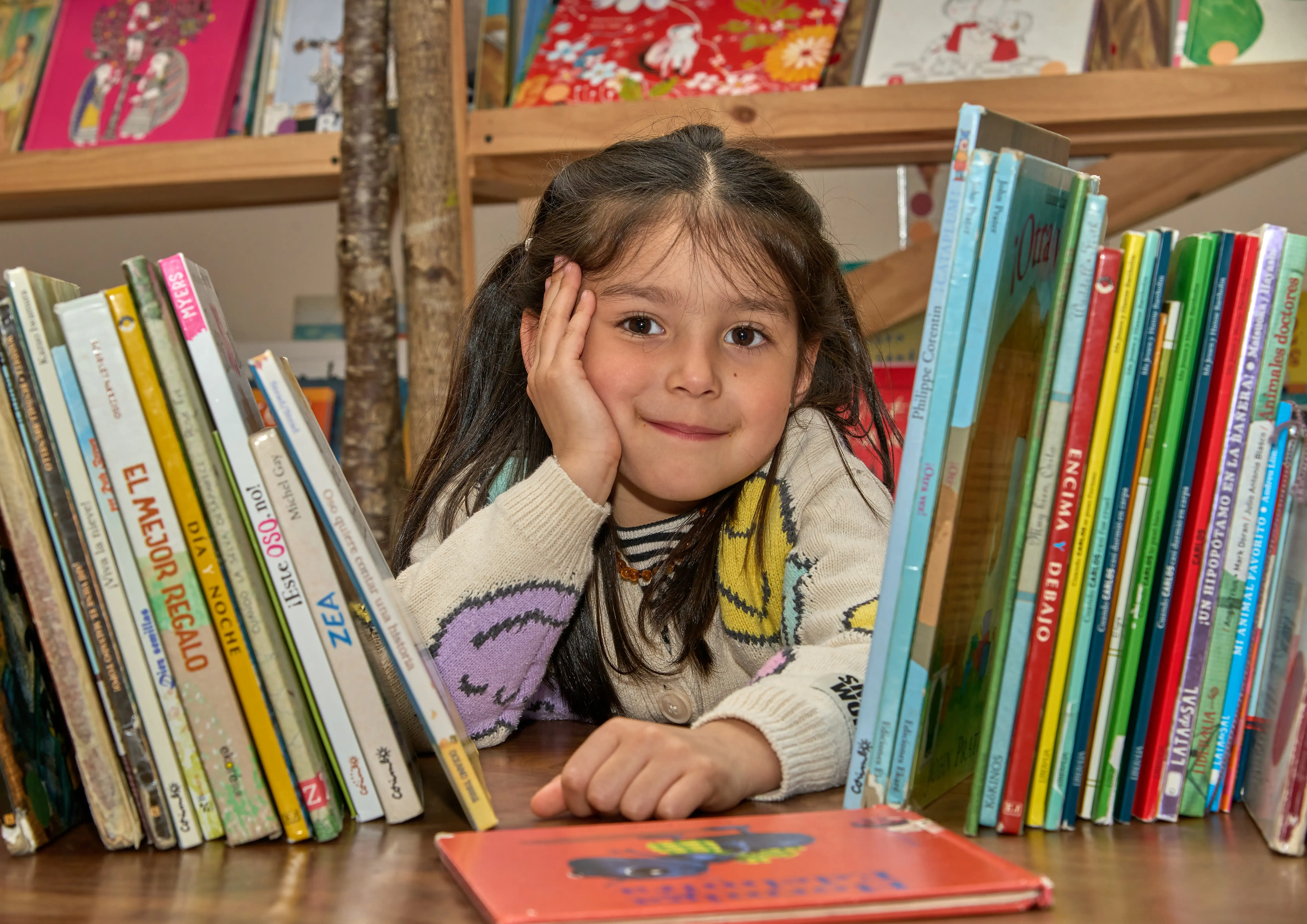 Rincón de Lectura Infantil