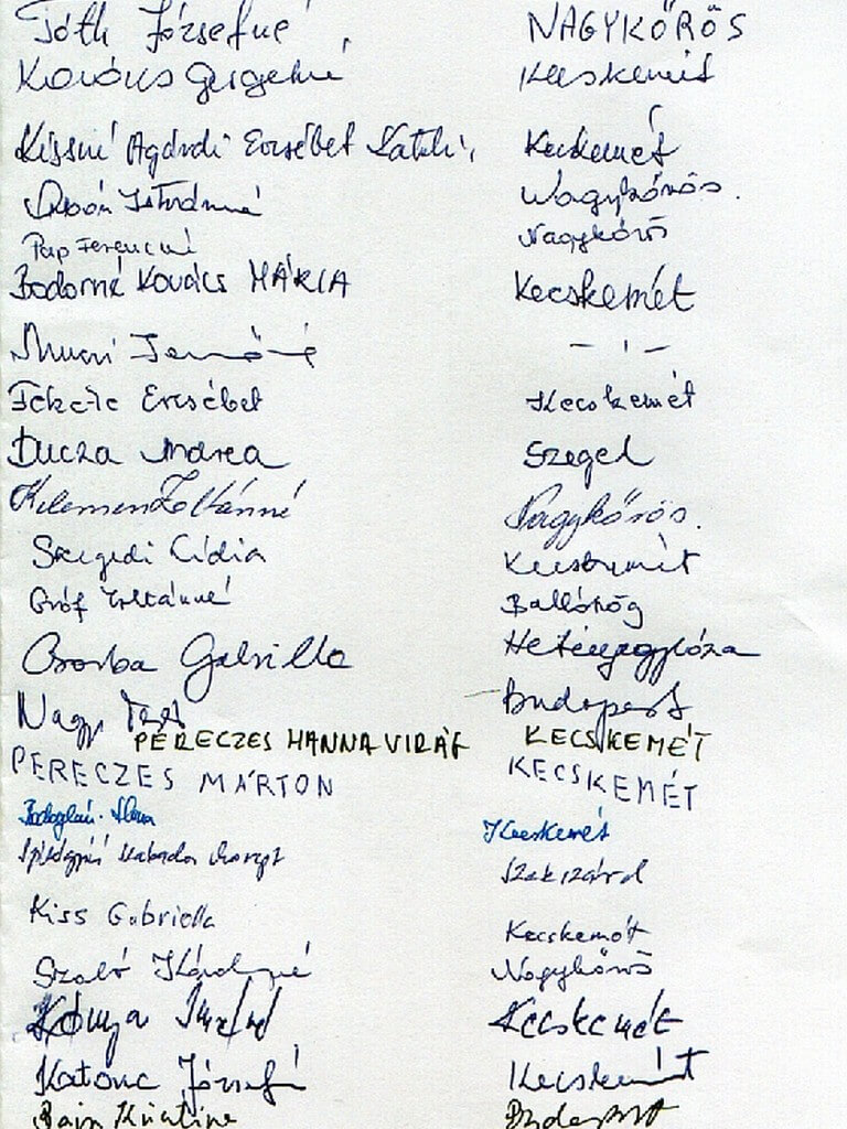 Hímzett nemez, Beszprémi Katával