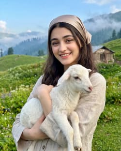 Highland Serenity – A Tender Bond in the Mountains