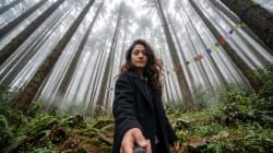 Mystical Pine Forest Selfie — Towering Trees, Morning Fog & Quiet Wonder