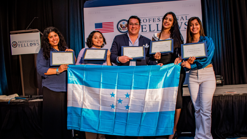 Professional Fellows