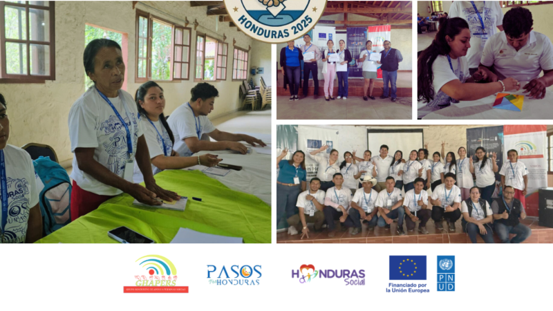 Diplomado Democracia e Inclusión