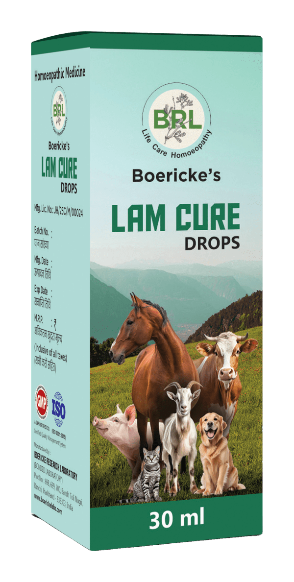 Lam Cure
