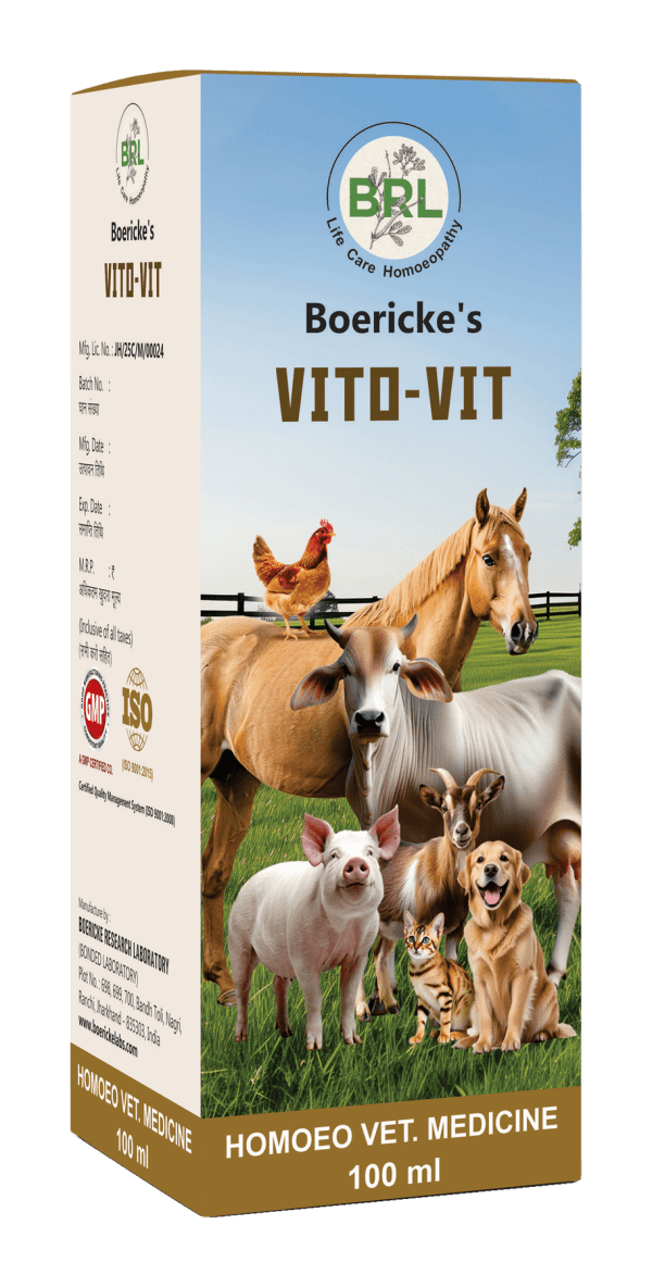 Vito-Vit
