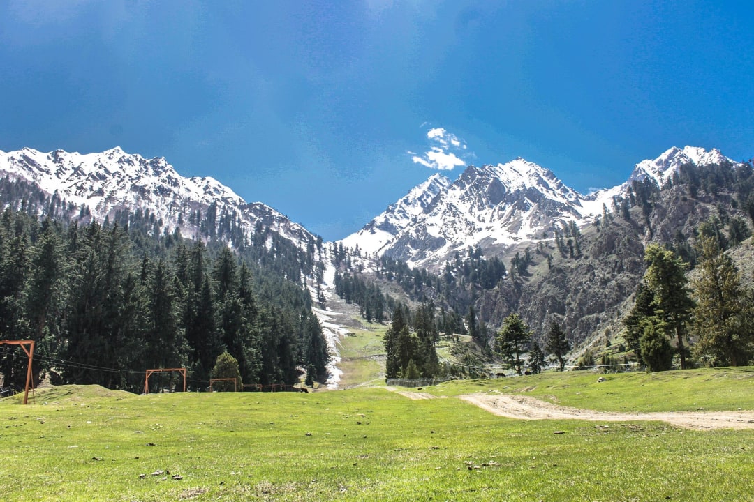 Naltar Valley – A Beautiful Mountain Paradise in Gilgit-Baltistan