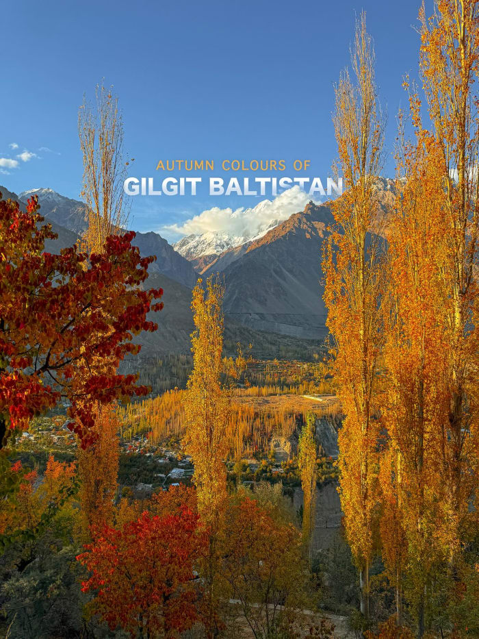 Travel with shigri photo 3