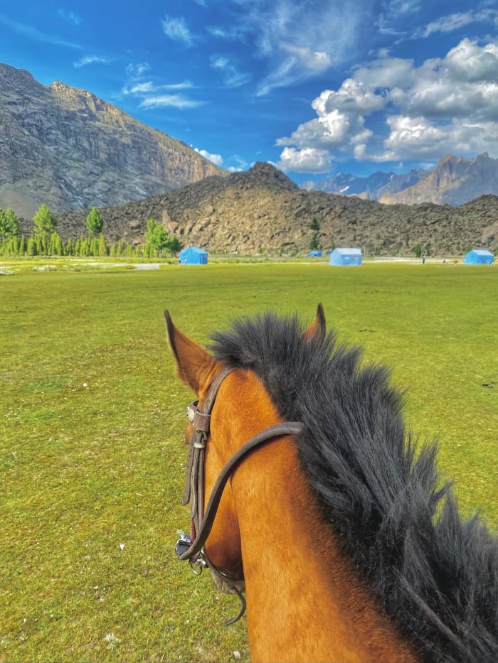 Travel with shigri photo 16