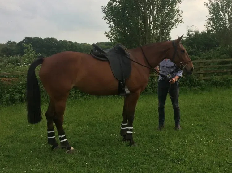 Sabrina with stock saddle