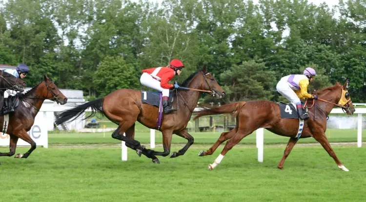 Horse Racing