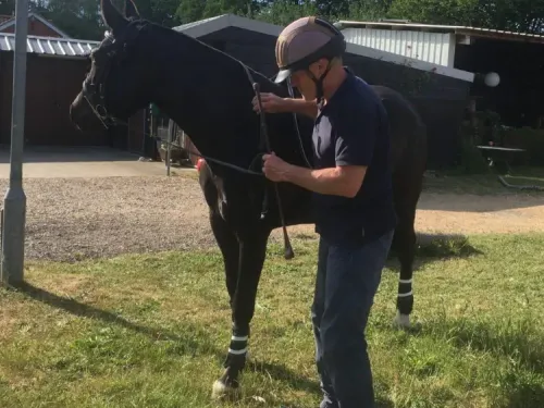 English Horse Owners are experiencing a Snowflake Horse Epidemic