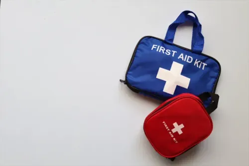 Horse First Aid Kit: How to Construct a Comprehensive Equine First Aid Kit