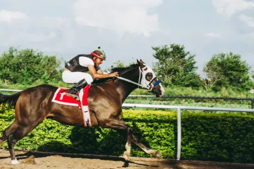 A Simple Tip to Improve Rider Balance in the Saddle
