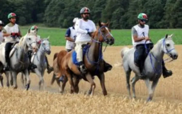 Endurance Horse Riding