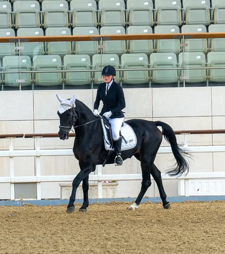 Dressage