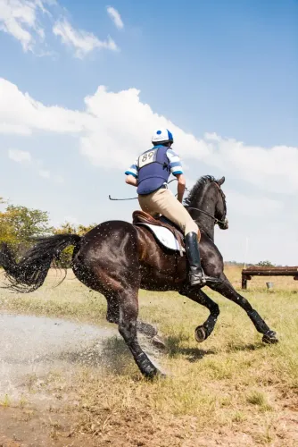 Horse back riding