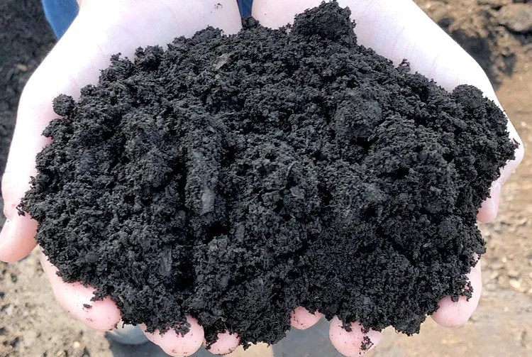 Organic manure