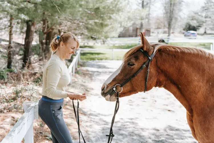 Looking at an horse