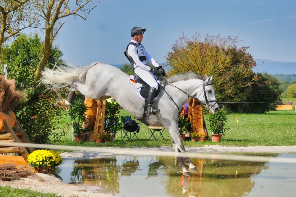 A Man Riding a White Hors