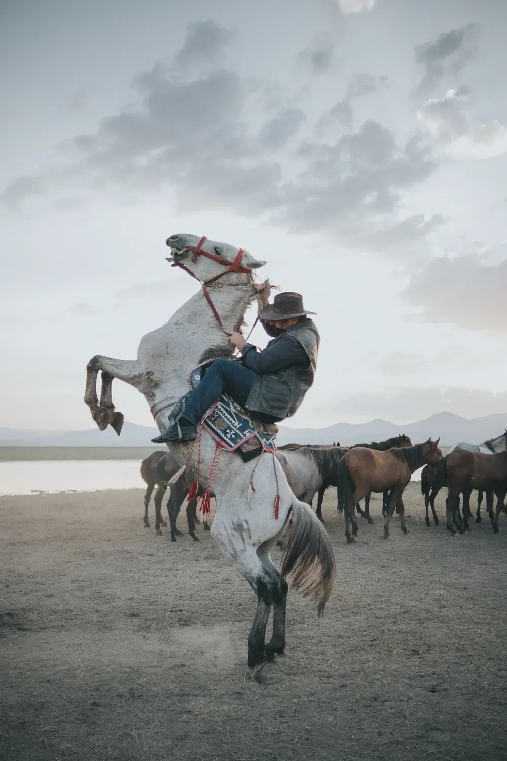 Cowboy on Rearing Horse