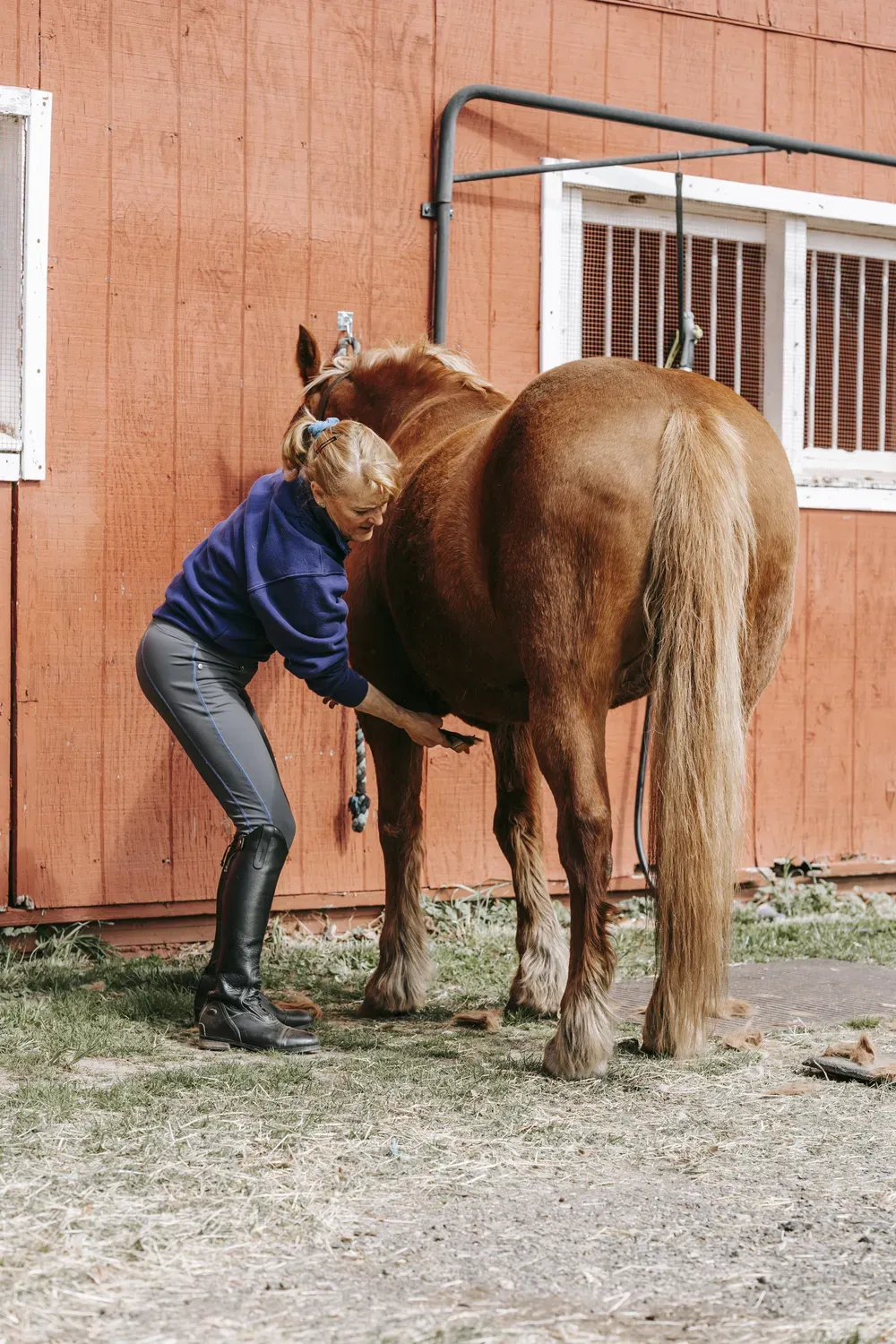 Woman Standing Next to a Brown Horse