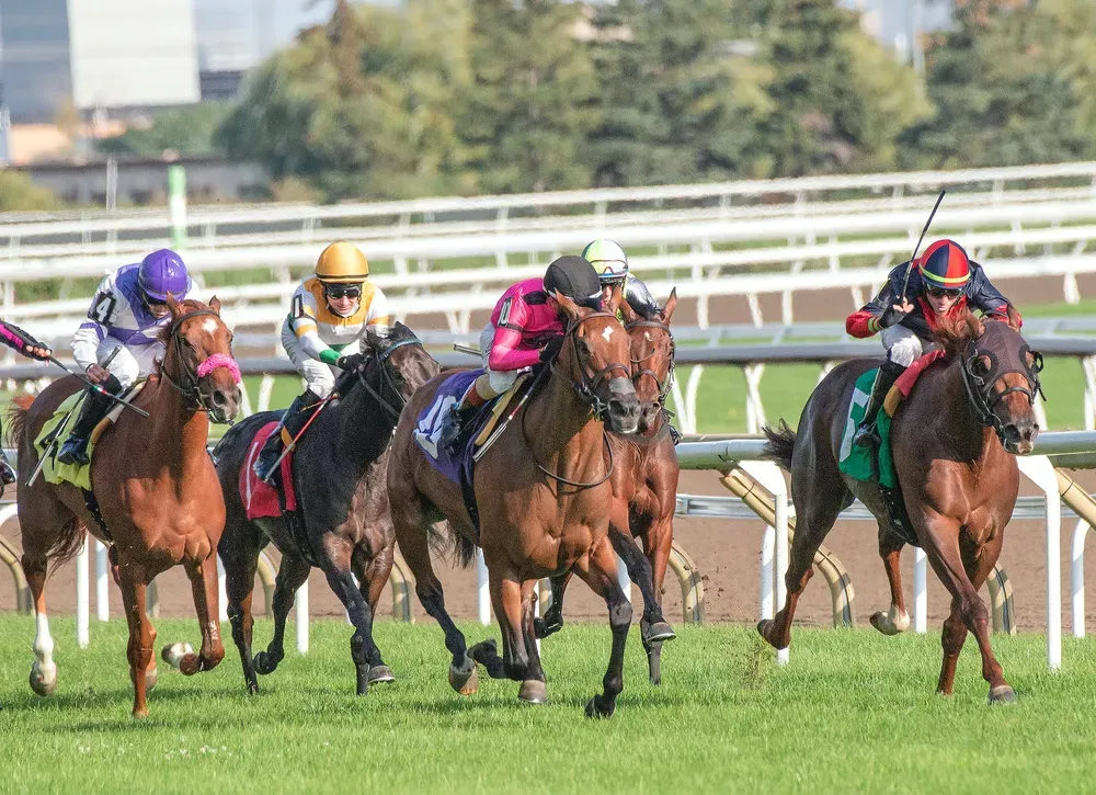 2 Men Riding Horses on Green Grass Field