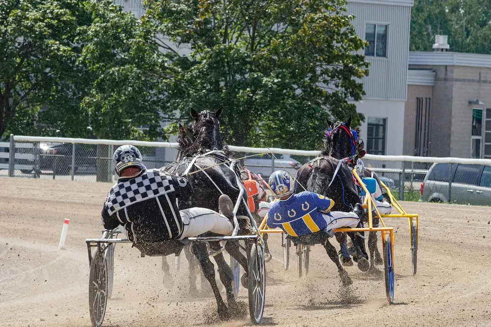 Men Harness Racing on Race Track