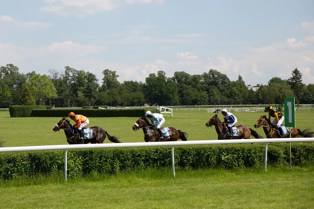 horses, horse racing, race