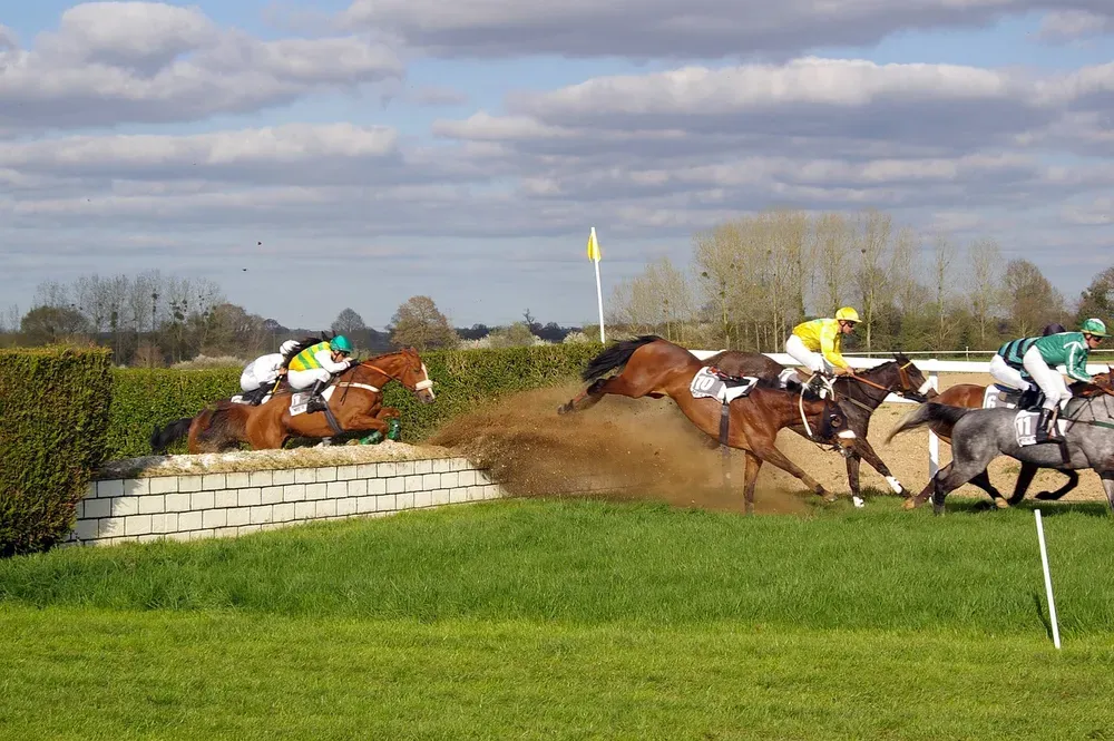 horse races, horses, sports