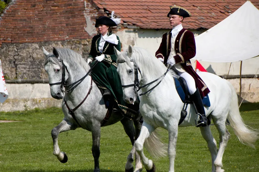 kun, rider, dressage