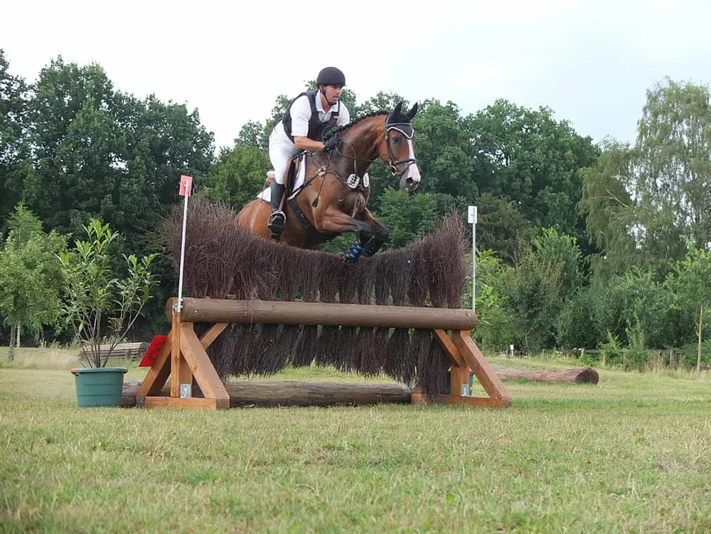 close contact jumping saddle