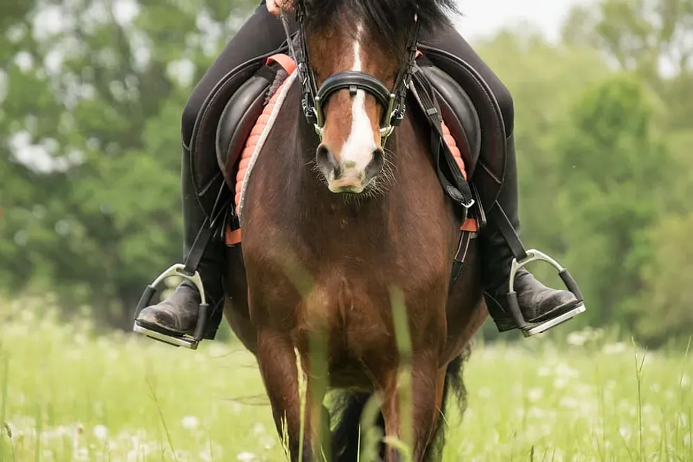 even stirrups in sadle