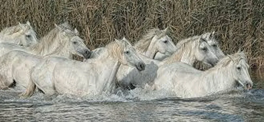 going for a swim