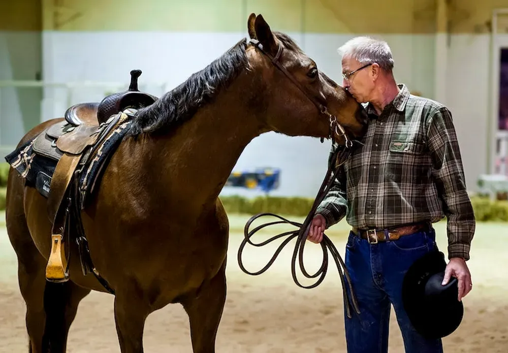 QUARTER HORSE AND RIDER