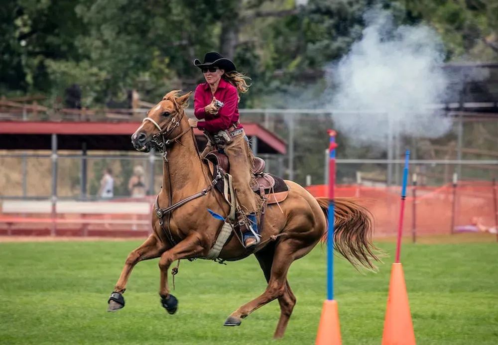 cowboy reenactment qARTER HORSE