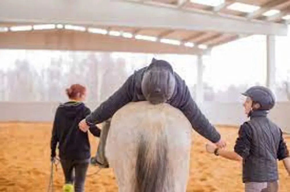 Equine horse therapy