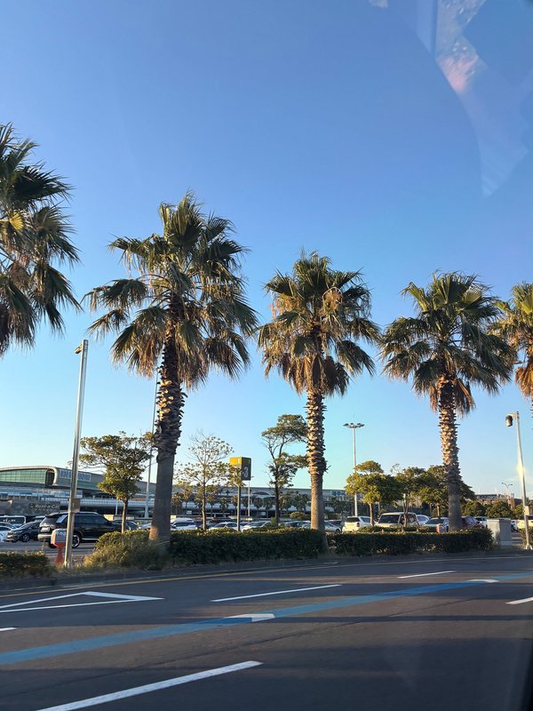 브롬톤5