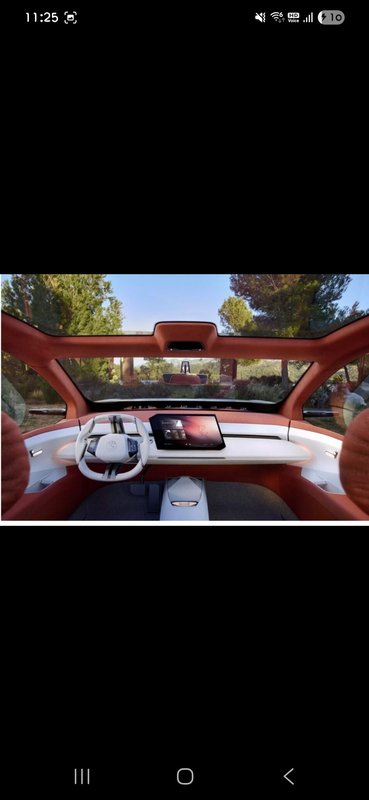 BMW X51