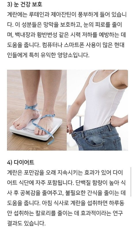 계란 건강식단5
