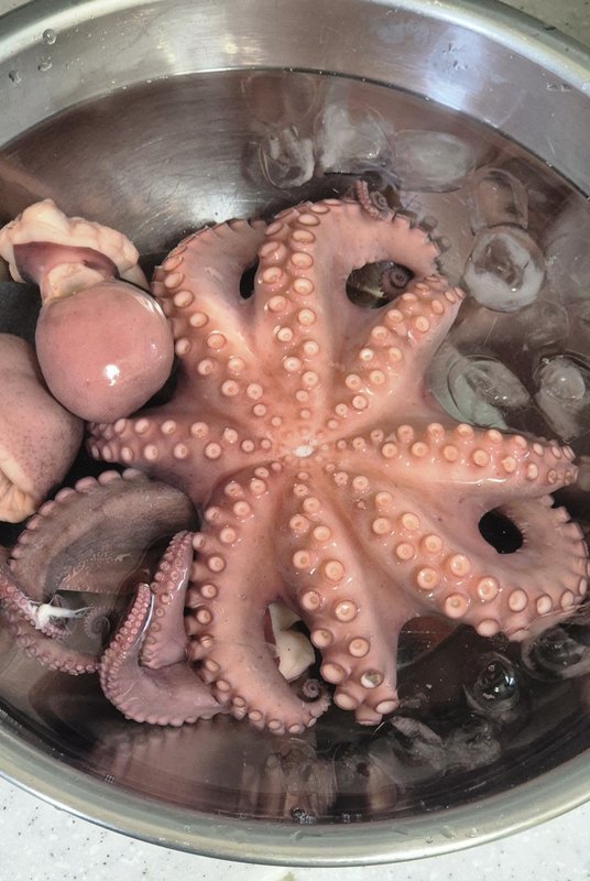 우체국 돌문어1