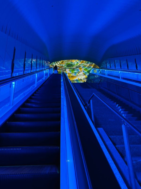 MOA 미술관2