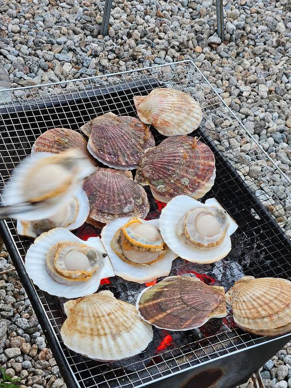 고성 거진해수욕장3