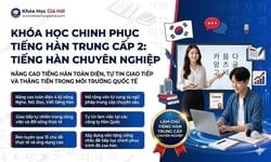 Khóa Học Chinh Phục Tiếng Hàn Trung Cấp 2: Tiếng Hàn Chuyên Nghiệp