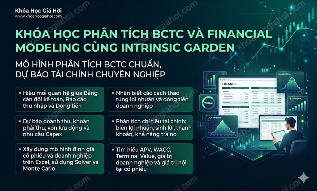 Khóa Học Phân Tích Bctc Và Financial Modeling Cùng Intrinsic Garden