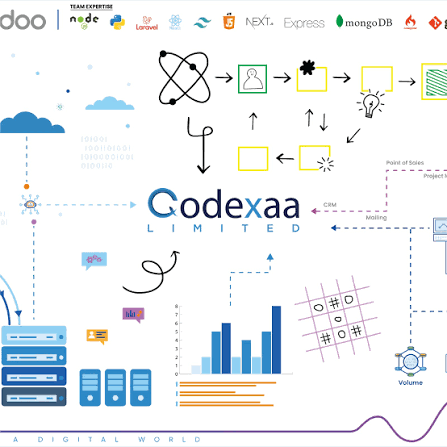 Codexaa Software Solutions tech specialists analyzing custom enterprise application architecture and database frameworks