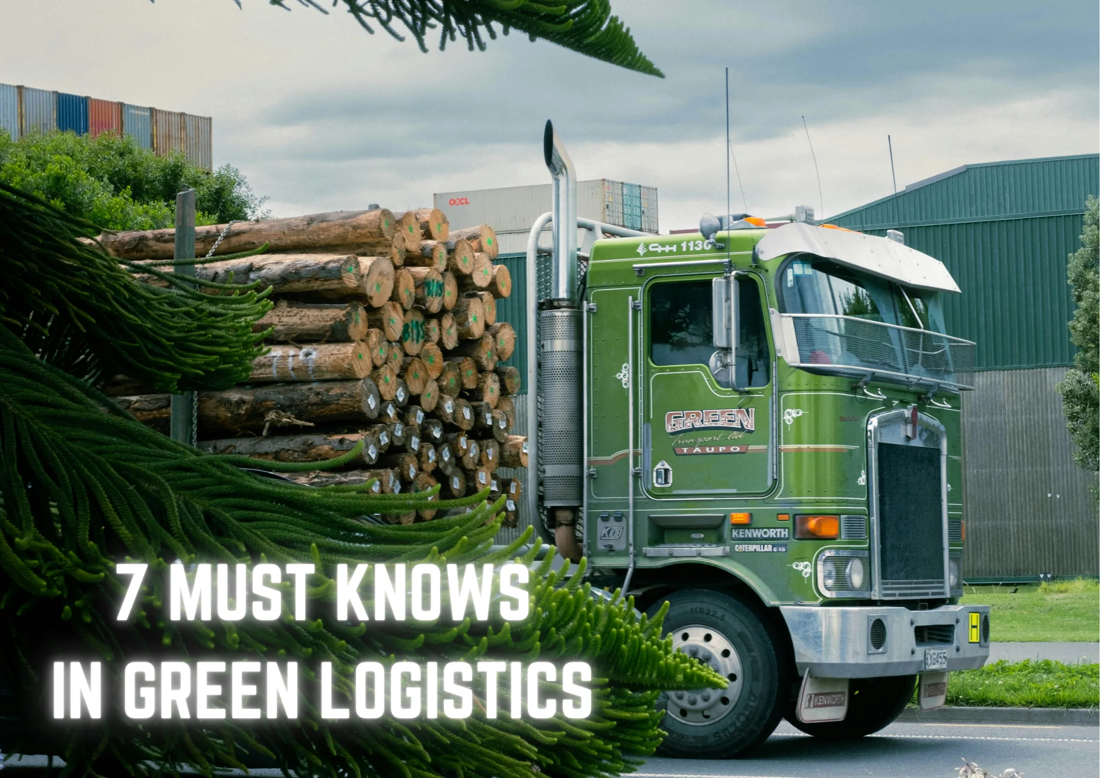 Side shot of truck and trees