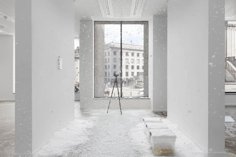 Alpine XP, 2025. Installation view. Scenography by Amélie Mckee and Melle Nieling. Works by Theo Ellison and Tarzan Kingofthejungle.